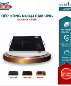Bếp hồng ngoại Ladomax HA-666